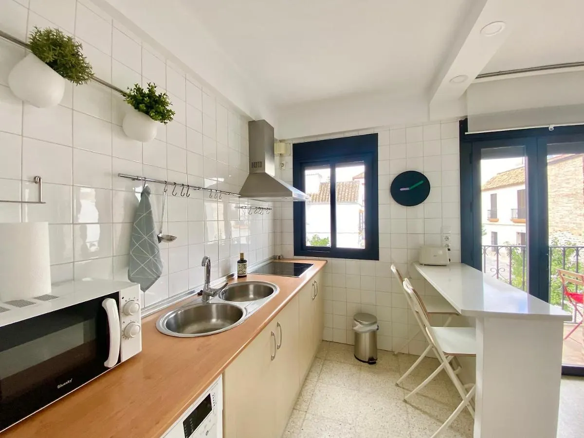 Duplex Centro Ecija Apartment Spain